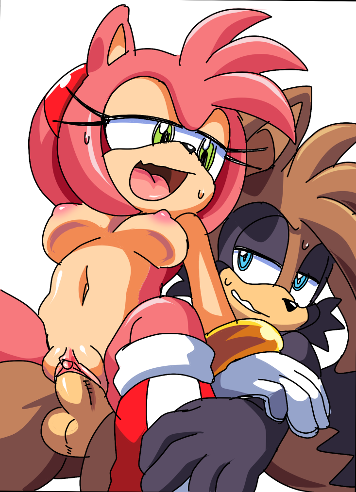 2016 amy_rose anthro areola balls big_breasts breasts coolblue duo erect_nipples erection exposed_torso fan_character female footwear handwear hedgehog male mammal navel nipples nude penetration penis pussy raccoon sex sonic_(series) vaginal vaginal_penetration