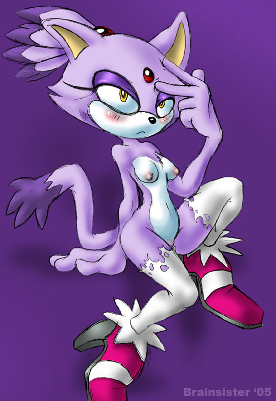 2005 anthro blaze_the_cat brainsister cat feline female female_only fur mammal sega solo sonic_(series) straight_hair tagme