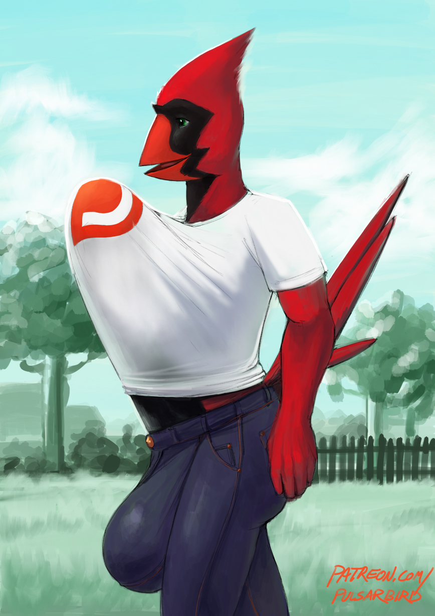 anthro avian balls big_balls bird cardinal_(bird) clothed clothing fence grass hyper hyper_penis hyper_under_shirt jeans male male_only pants penis penis_under_shirt pulsar pulsar_(character) shirt solo t-shirt tree