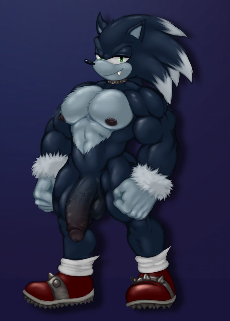 abs anthro balls big_penis collar genitals huge_cock hunnipanda looking_at_viewer male male_only muscular muscular_male nipples nude penis sega solo sonic_(series) sonic_the_hedgehog sonic_the_hedgehog_(series) sonic_the_werehog sonic_unleashed