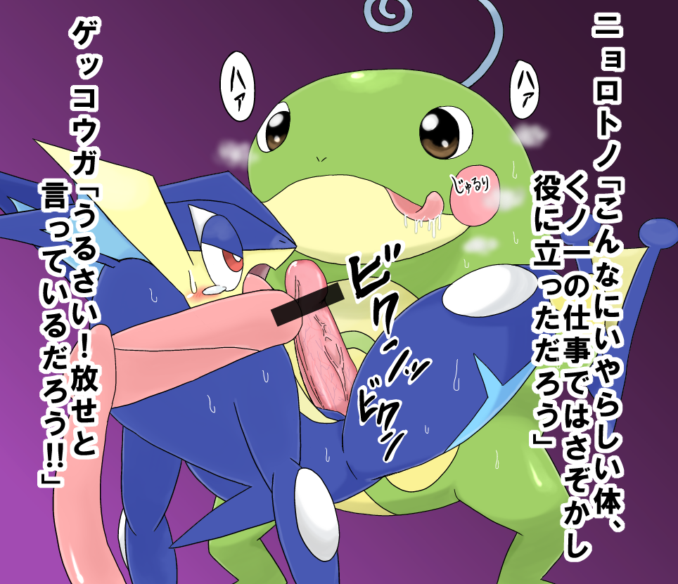 brown_eyes censored denbukuro frog furry greninja japanese male penis pokemon pokemon_(species) pokemon_gsc pokemon_xy politoed red_eyes text translation_request veins veiny_penis