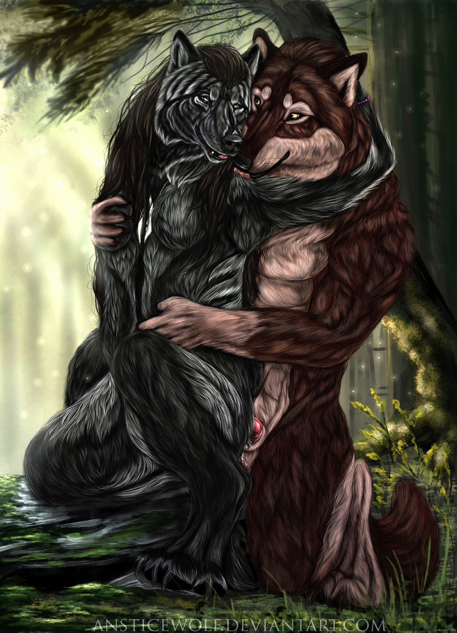 animal_genitalia ansticewolf balls breasts canine female forest from_behind_position hug knot licking male mammal penis sex sheath straight toddwolf tongue tongue_out tree were werewolf wolf