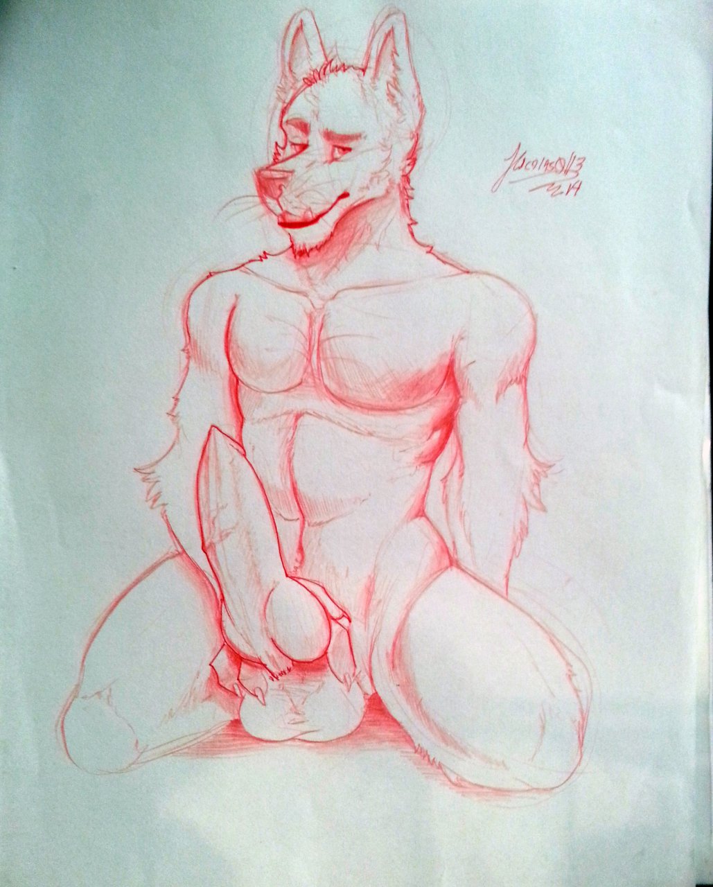 1boy animal_genitalia animal_penis anthro balls big_penis canine canine_penis chumbasket erection kneeling knot looking_at_viewer male male_only mammal nude penis sketch solo traditional_media_(artwork) vein