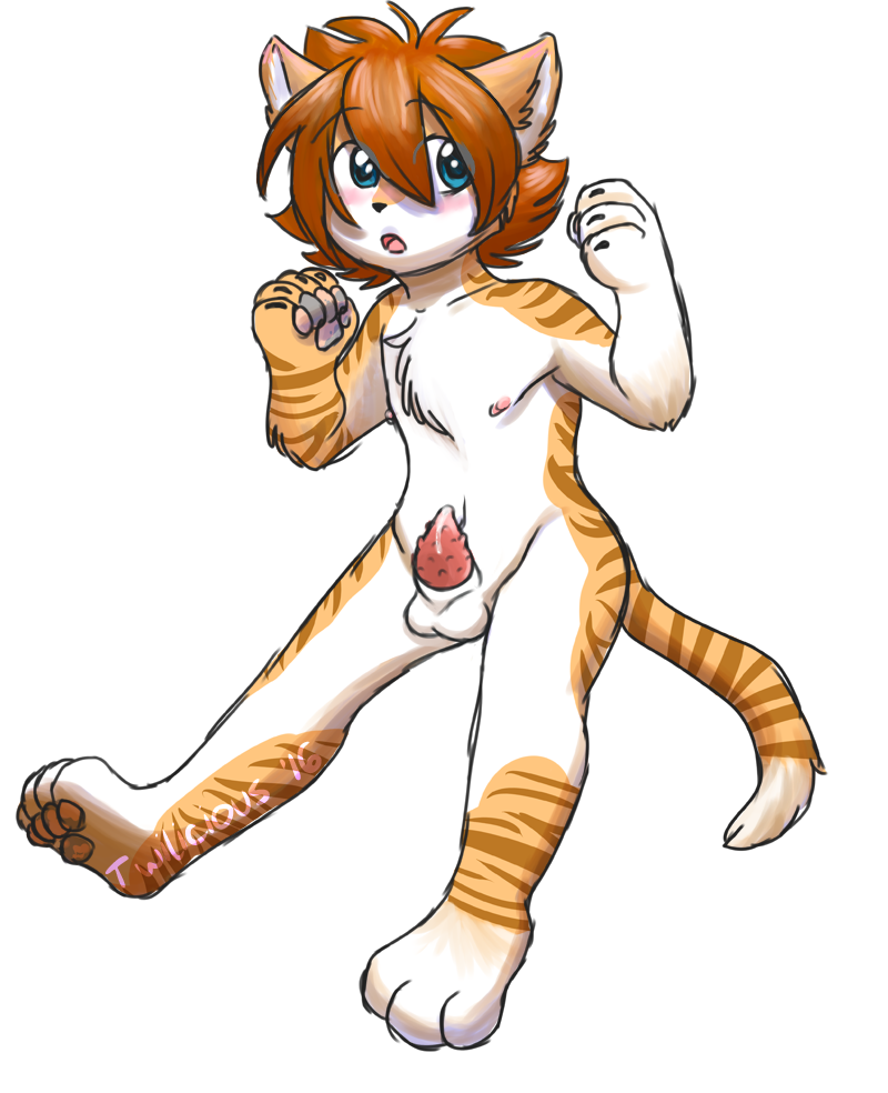 animal_genitalia anthro balls blush cum erection feline furry furry_only kemono male male_only mammal no_humans nude pawpads penis sheath stripes tabby twilicious twink