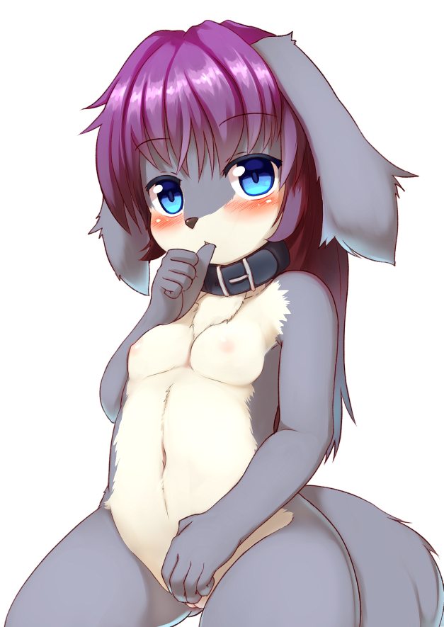 24cakes blue_eyes blush canine collar hair mammal nipples nude purple_hair pussy sitting sucking thumb_suck