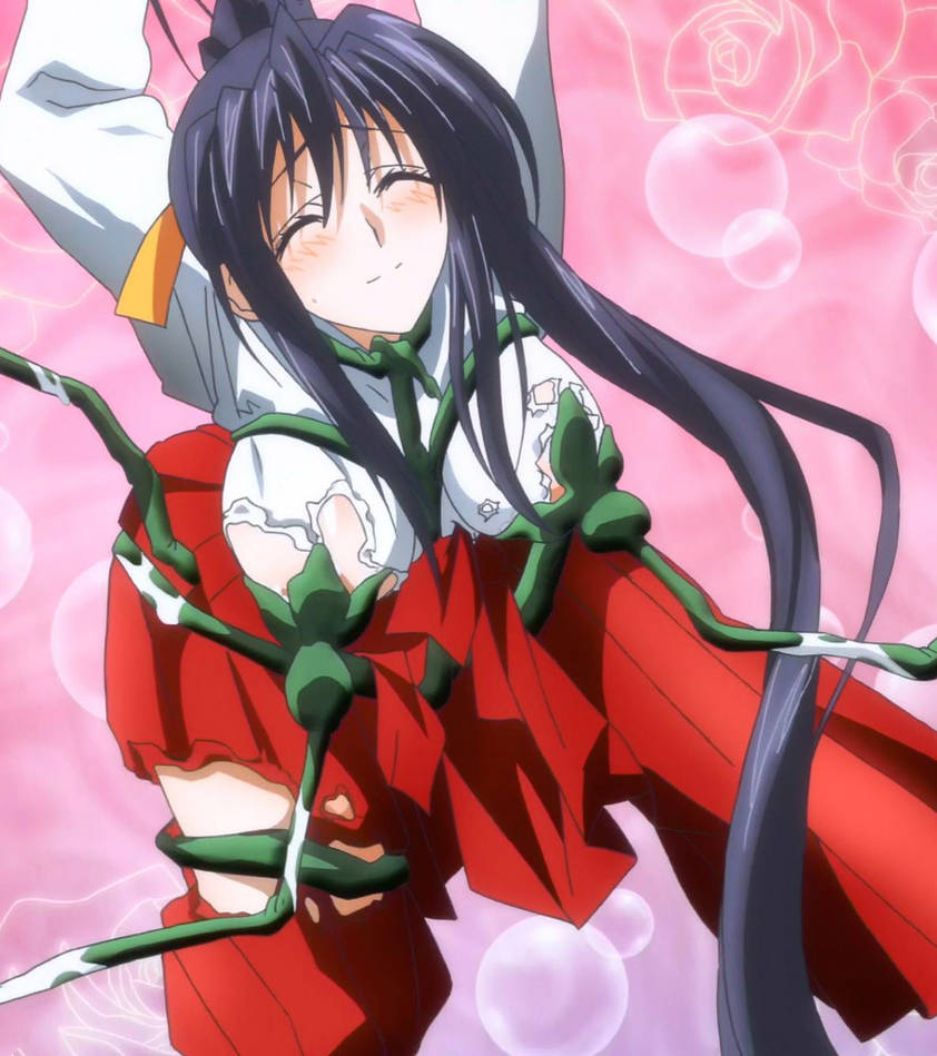 akeno himejima, demon, demon girl, female, high school dxd, screenshot, stitched, tentacle, tnk (company)