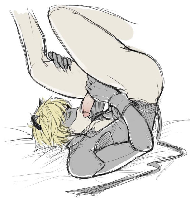 cat_noir chat_noir