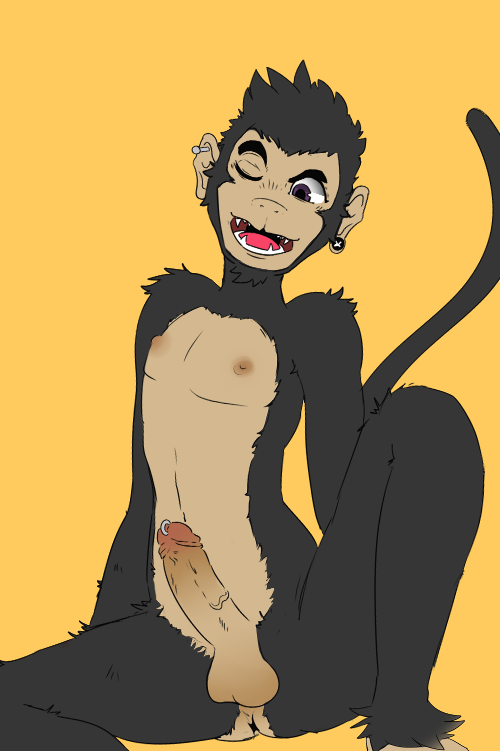 1boy anthro balls darkluxia ear_piercing erection front_view humanoid_penis male male_only mammal monkey nipples one_eye_closed open_mouth penis perineum piercing pinup pose primate retracted_foreskin sitting slim smile solo spread_legs spreading uncut vein veiny_penis