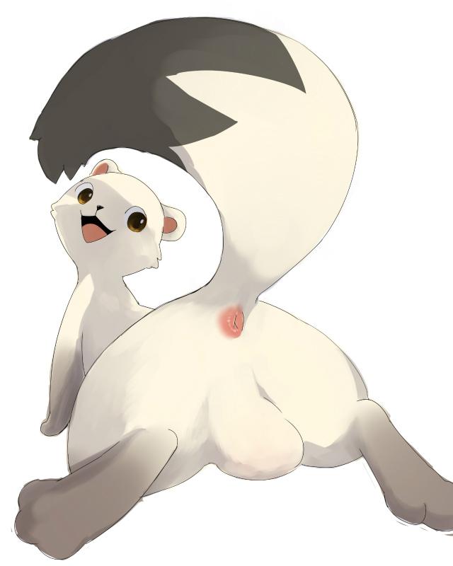 2015 anus ass balls feral from_behind koppa looking_back male mammal manmosu_marimo mustelid mystery_dungeon open_mouth presenting presenting_hindquarters raised_tail simple_background smile spread_legs spreading tagme weasel white_background