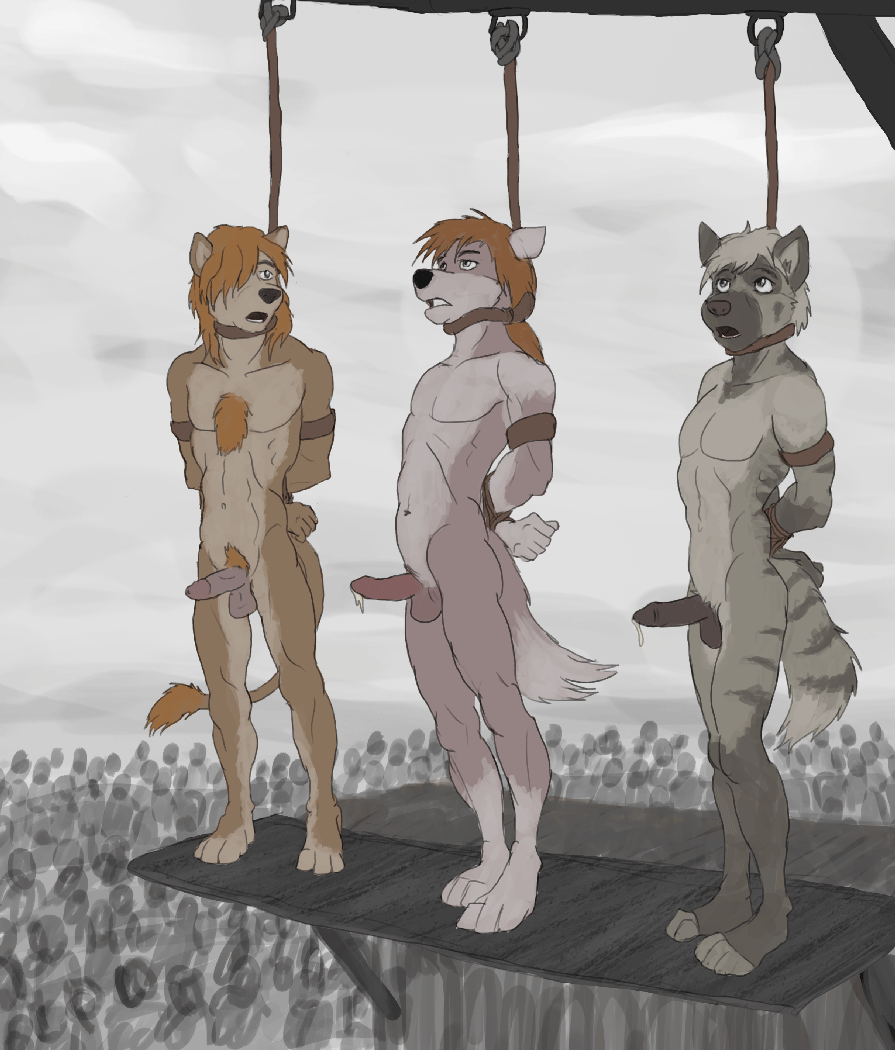 balls bound erection execution furry furry_only gallows hadalmartian hands_behind_back hands_tied imminent_death male noose nude open_mouth penis precum pubes