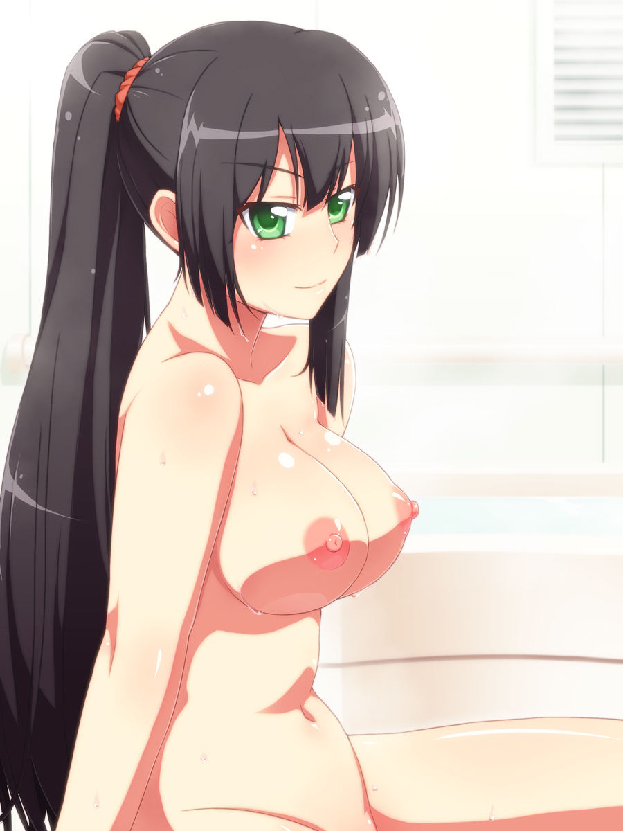 black_hair blush breasts female green_eyes kore_wa_zombie_desu_ka? large_breasts long_hair navel nipples nude out-of-frame_censoring pointy_chin ponytail puffy_nipples seraphim_(kore_wa_zombie_desu_ka?) sitting smile solo tachimi_(basue) tied_hair wet