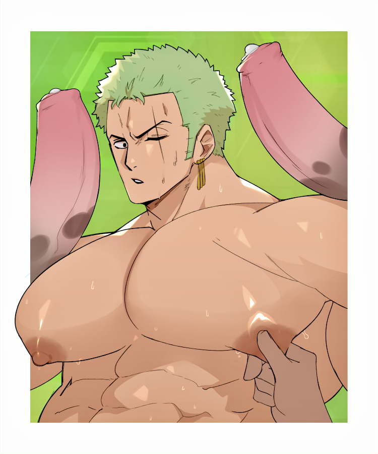 balls, bara, big penis, boner, erection, gay, horsecock, male, male only, muscles, muscular, nude, one piece, penis, roronoa zoro, scruffley, sweat, sweating, yaoi