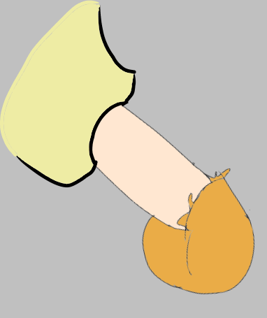 2d Rule 34 Image