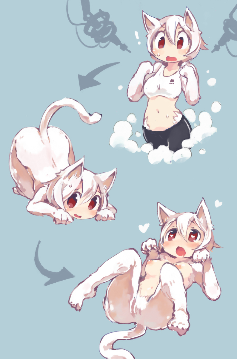 animal_ears ass bike_shorts breasts female fur heart lying nude on_back open_mouth original paw_pose sakamoto_ahiru symbol-shaped_pupils tail top-down_bottom-up transformation