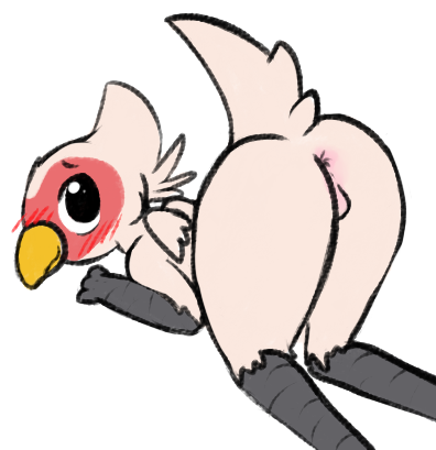 ass avian balls bird blush drgons martin_(dosent)