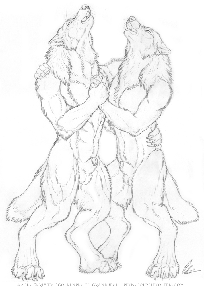 animal_genitalia anthro balls canine celestialwolf duo furry howl hug lazywolf male mammal penis sheath were werewolf wolf woofy yaoi