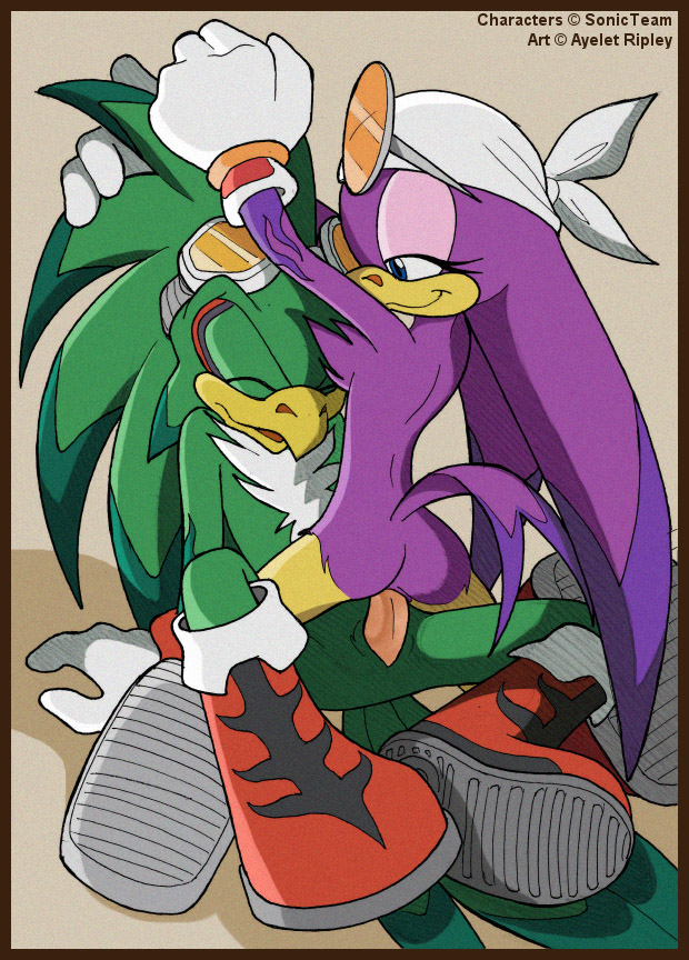 1boy 1girls avian ayelet_ripley cowgirl_position exposed_torso footwear handwear jet_the_hawk romantic romantic_couple sex sonic_(series) sonic_riders straight_hair wave_the_swallow