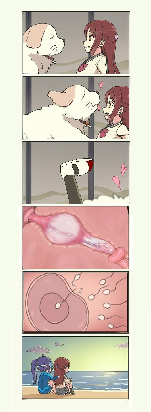 bestiality, brown hair, canine, impregnation, knot, knotting, long hair, love live!, love live! sunshine!!, male, matsuura kanan, ovum, penis, sakurauchi riko, school uniform, sex, shiitake (love live! sunshine!!), x-ray, zoophilia