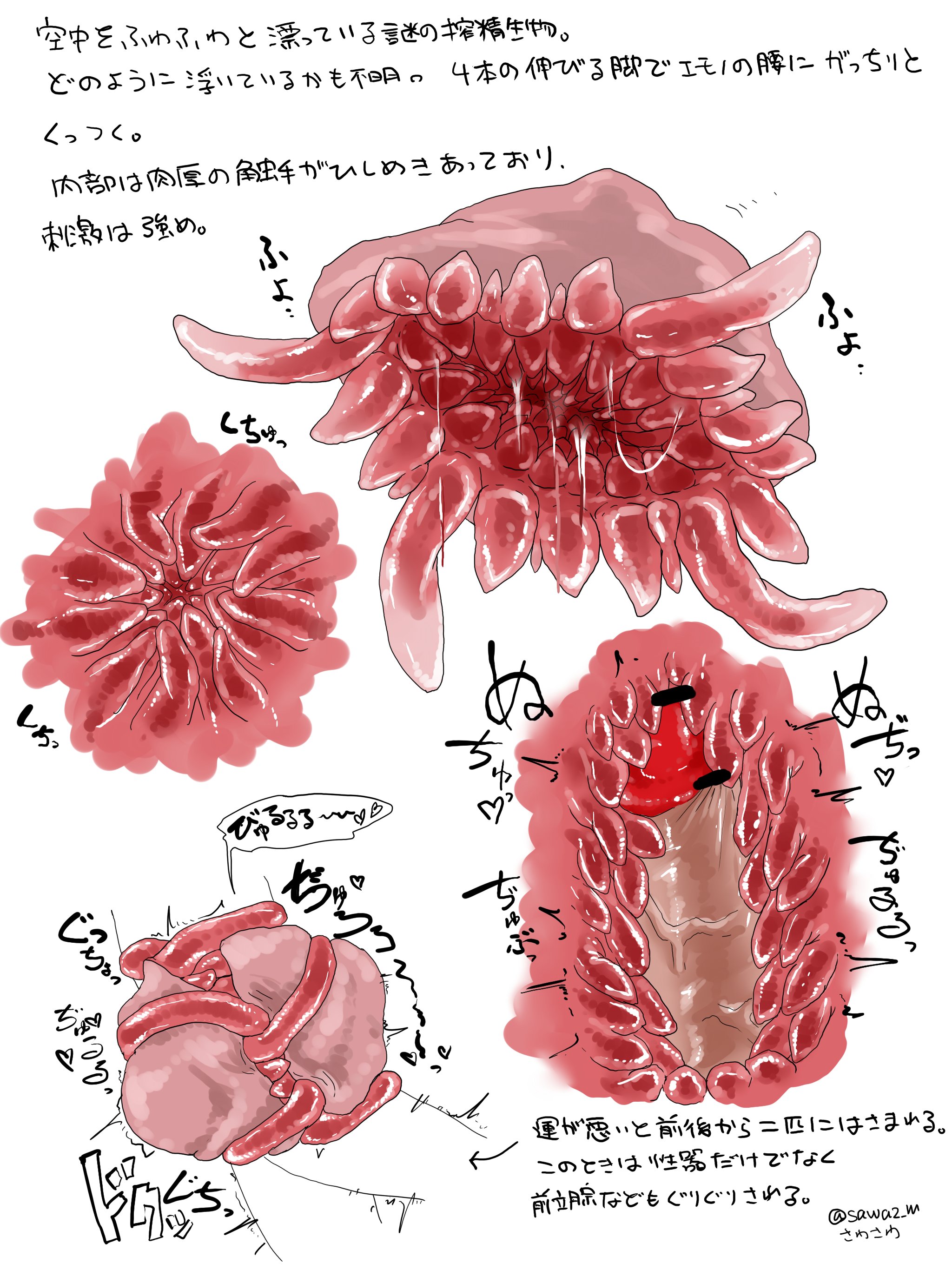 bar censor, censor bar, censored, censored penis, cock, dick, genitals, male, penis, sawa2 m, squeezing balls, translation request
