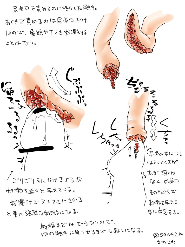 cock, dick, edging, genitals, male, orgasm denial, original, penis, sawa2 m, sketch, translation request, urethral insertion