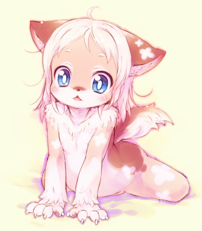 blue_eyes canine flat_chested furry long_hair mizuki_kotora white_hair