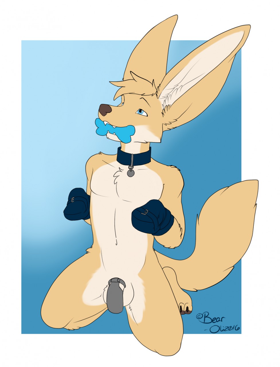 1boy 2016 anthro balls big_ears blue_eyes bondage_gloves bone canine chastity chastity_cage chastity_device chew_toy collar fennec fox fur furry kneeling male male_chastity male_only mammal mostly_nude oli_snowpaw simple_background solo tan_fur white_fur