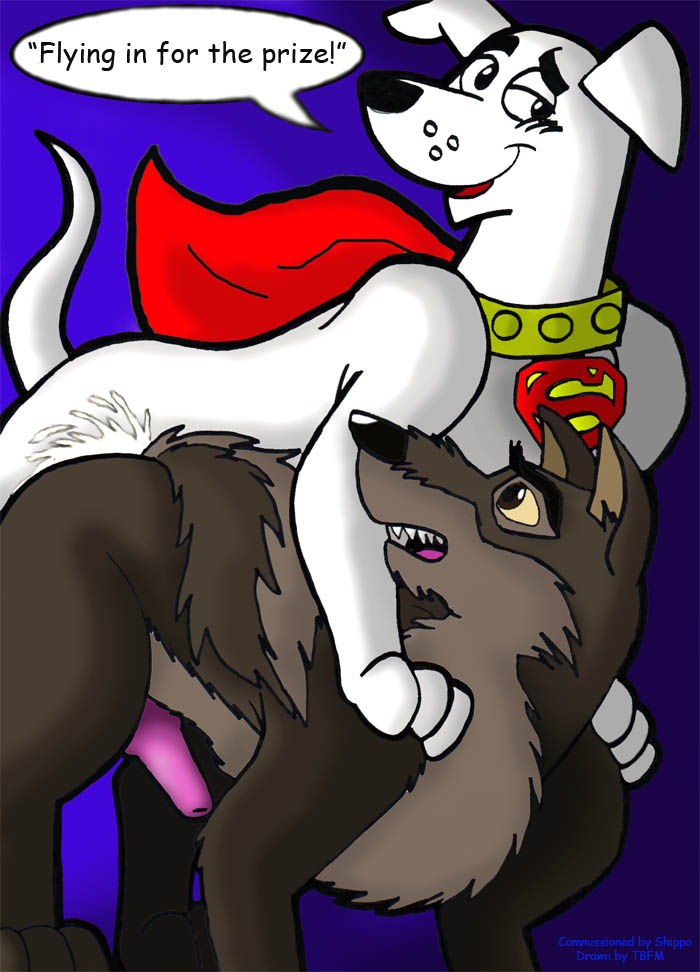 balto balto_(film) canine crossover dc_comics feral furry gay knot krypto krypto_the_superdog mammal no_humans penis rape super-pets superman_(series) tbfm