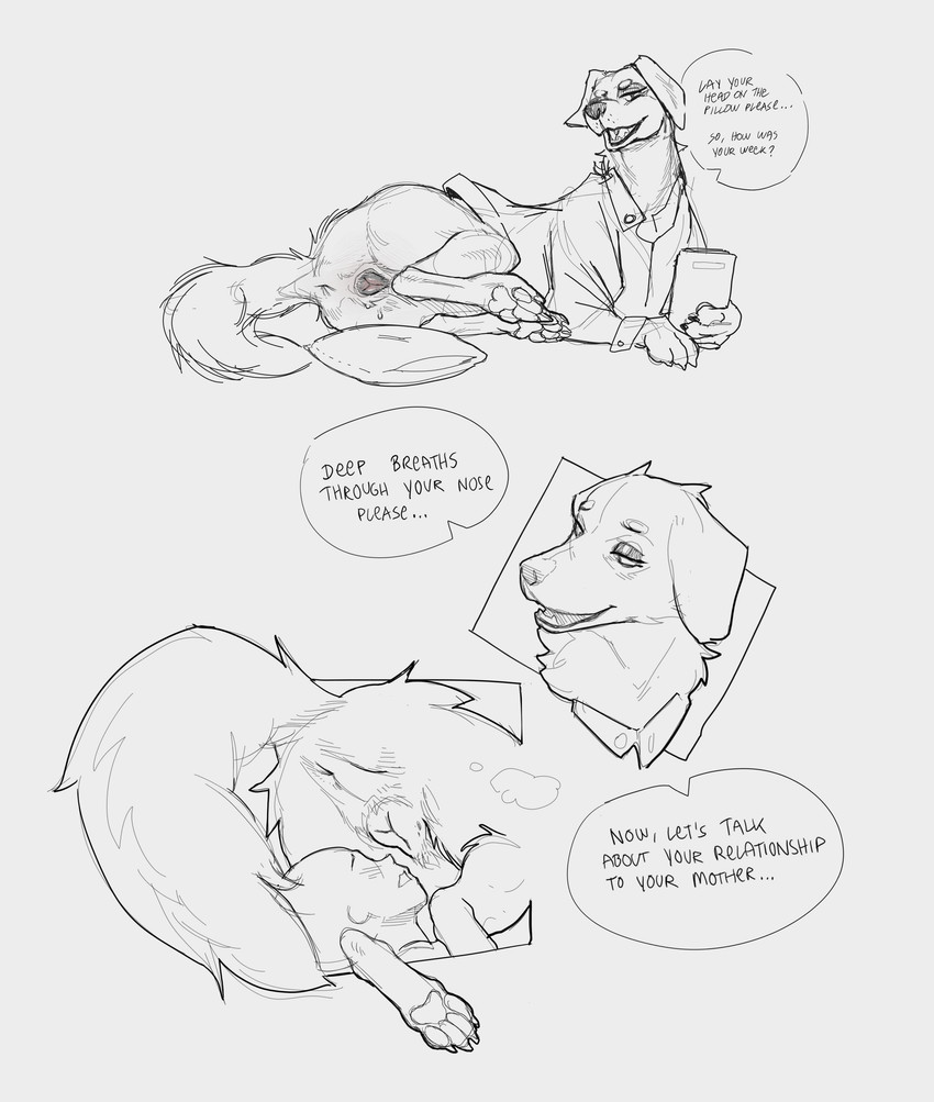 canine, canine pussy, canine vulva, feral, syn-6