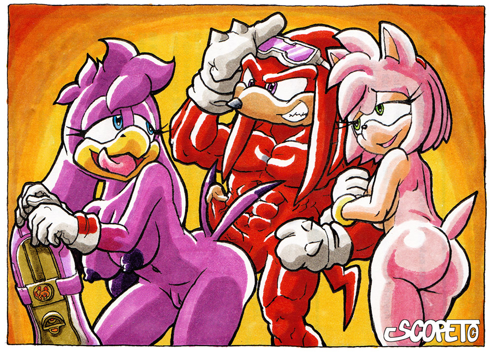 2016 amy_rose anthro areola ass avian balls big_breasts big_butt bird breasts echidna erect_nipples erection escopeto female group hedgehog imminent_sex knuckles_the_echidna male mammal monotreme navel nipples nude penis pussy sonic_(series) sonic_riders swallow_(bird) wave_the_swallow