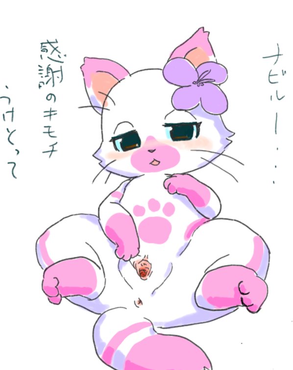 artist_request blue_eyes feline felyne furry monster_hunter pansy_(mhs) pink_fur pussy uncensored