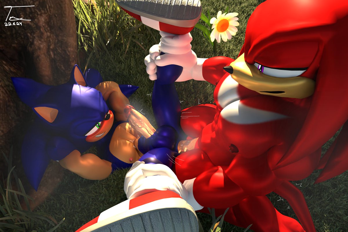 2boys anal balls gay knuckles_the_echidna male male/male male_only muscular muscular_male penis sex sonic_(series) sonic_the_hedgehog sonic_the_hedgehog_(series) texthefox