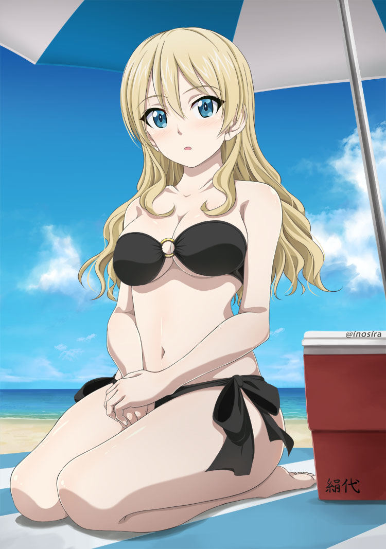 beach big_breasts bikini darjeeling long_hair