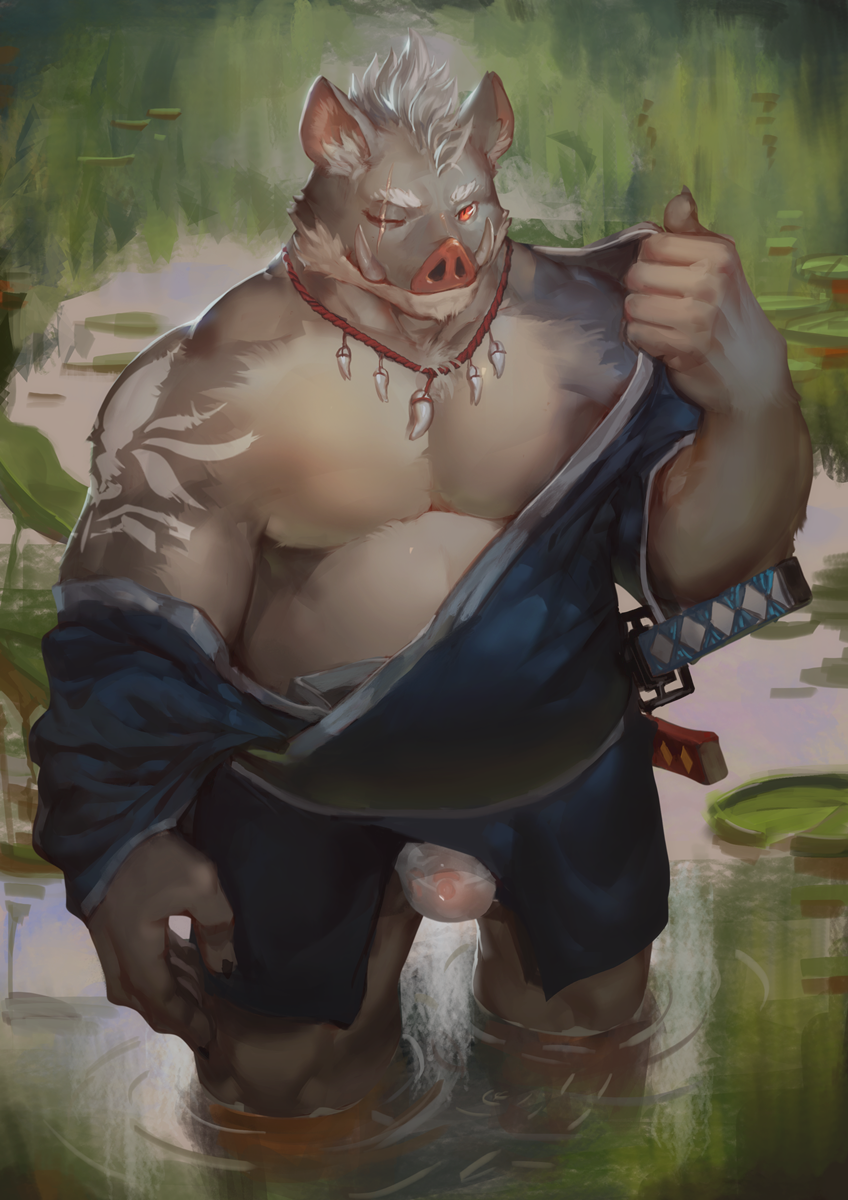 boar clothing clothing_pull erection eye_scar japanese_clothing jewelry kimono looking_at_viewer male male_only mammal marsh melee_weapon musclegut necklace partially_submerged penis pinup poking_out porcine pose ramenbeny samurai scar see-through solo standing stocky sword tenting tusks underwear undressing weapon