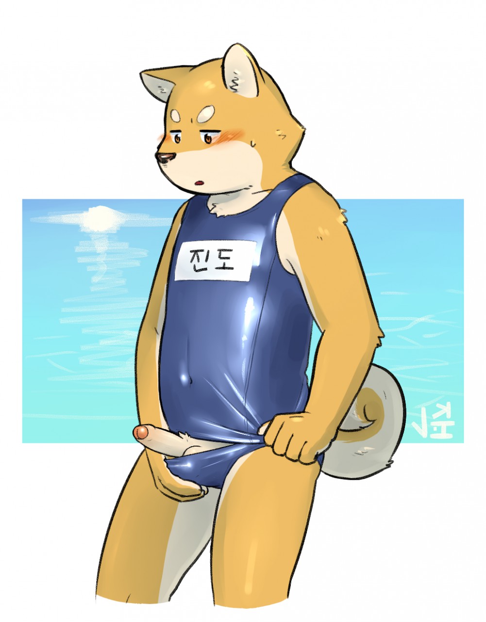 1boy 5_fingers anthro balls blush brown_eyes brown_nose bulge canine clothed clothing crossdressing erection fur humanoid_penis jeck male male_only mammal open_mouth partially_retracted_foreskin penis shiba_inu simple_background solo standing swimsuit tan_fur uncut