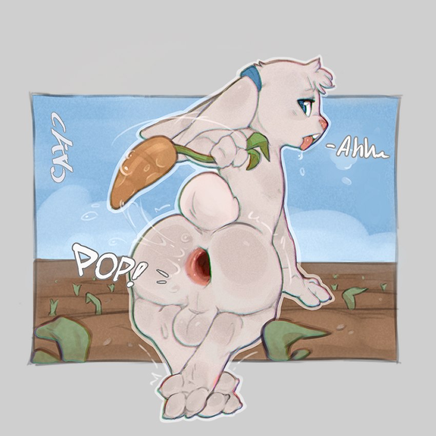 buttplug, furry, gaping anus, gay, male, presenting, rabbit, tagme, yaoi, zinsockhyr