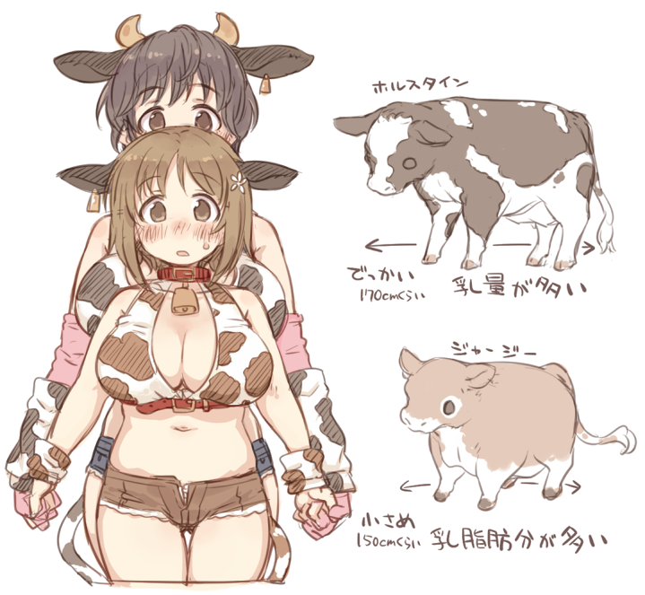 2girls 7010 animal animal_ears bell blush bovine breasts brown_eyes brown_hair collar cow_ears cow_print cowbell educational female idolmaster idolmaster_cinderella_girls large_breasts mimura_kanako multiple_girls oikawa_shizuku short_hair short_shorts shorts