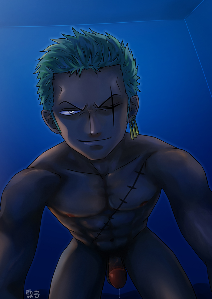 Roronoa Zoro (One Piece) Rule 34 Image