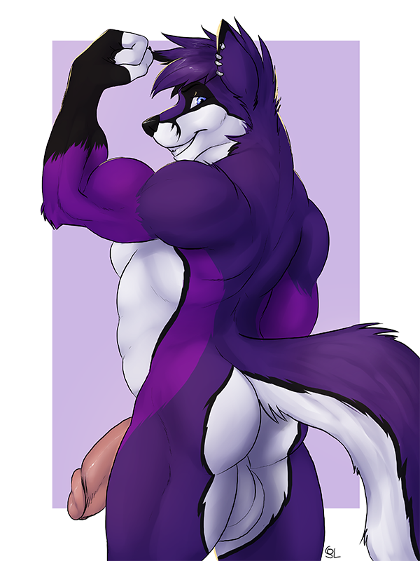 1boy 2016 anthro ass backsack balls biceps big_balls black_fur black_hair black_nose black_tail blue_eyes border canine ear_piercing fingerless_(marking) flexing folf fox fur glans gloves_(marking) grin hair humanoid_penis hybrid looking_at_viewer looking_back male male_only mammal markings multicolored_fur multicolored_hair multicolored_tail muscular muscular_male nude outside_border penis piercing pink_penis portrait purple_background purple_fur purple_hair purple_tail rear_view shyloc signature simple_background solaxe_(artist) solo teeth three-quarter_portrait two_tone_hair white_balls white_border white_fur white_tail wolf