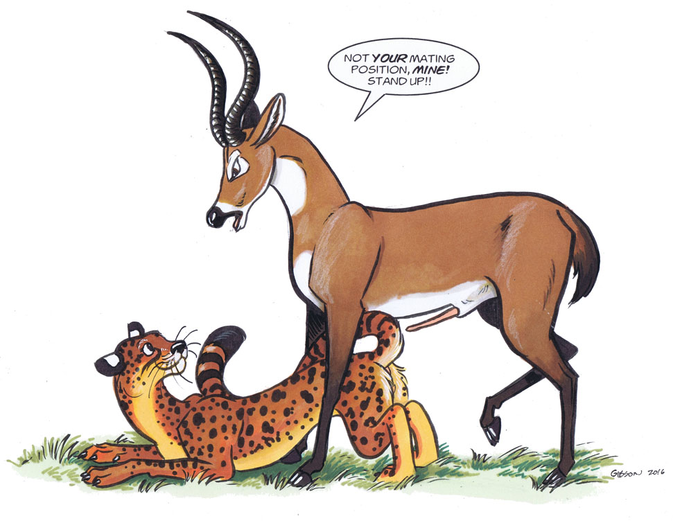 anatomically_correct anatomically_correct_genitalia antelope bovid cheetah dialogue duo english_text felid feline female feral feral_on_feral genitals glare horn interspecies looking_down_at_partner looking_up_at_partner male male/female mammal raised_leg roz_gibson smile tail text