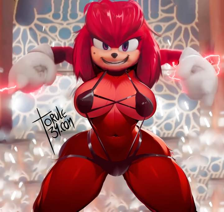 female knora_the_echidna knuckles_the_echidna rule_63 sonic_(series) torule34