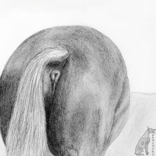 anus ass butt darkmare equine feral furry horse mammal presenting presenting_anus realistic solo traditional_media_(artwork)