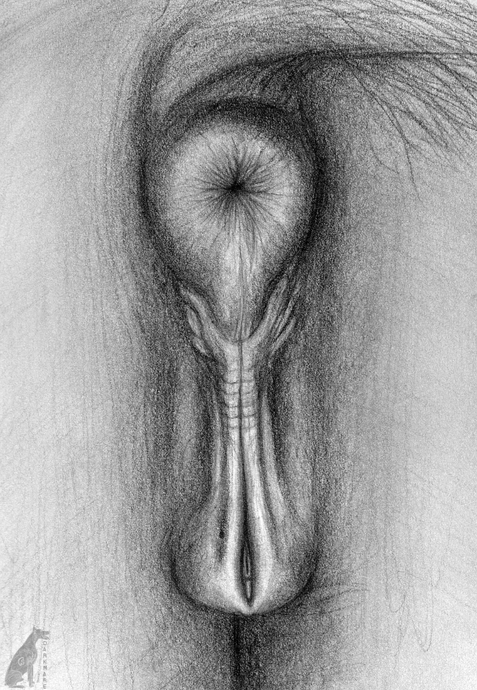 2016 animal_genitalia animal_pussy anus darkmare equine equine_pussy feral greyscale horse mammal monochrome pussy pussy_close-up