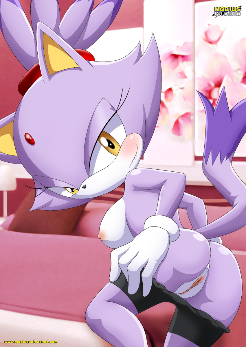anthro, anus, bbmbbf, bedroom eyes, big breasts, biting lip, blaze the cat, boxer, breasts, cat, female, gloves, hairband, large breasts, lavender fur, looking at viewer, mobius unleashed, nipples, palcomix, purple hair, pussy, sega, sonic (series), sonic the hedgehog (series), tagme, tail, taking clothes off, topless, white fur, yellow eyes