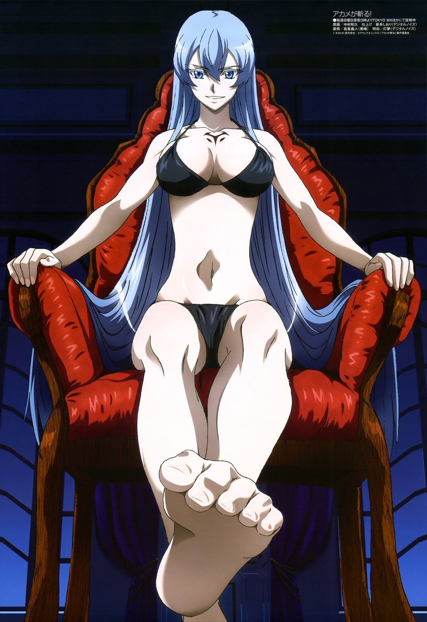 akame ga kill!, artist request, dominatrix, edit, esdeath (akame ga kill!), female, female only, femdom, light skin, light-skinned female, pale skin, pale-skinned female, solo, tagme