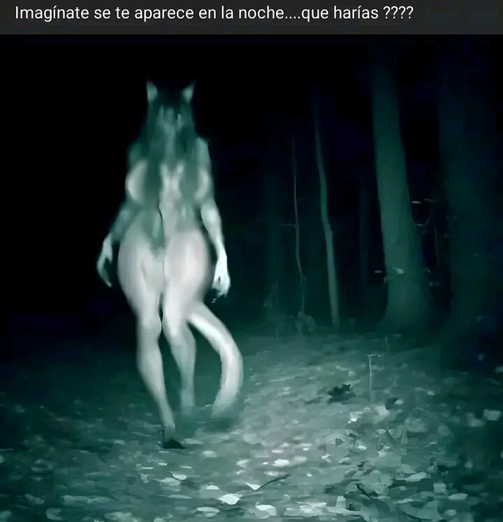 1girls 2024 artist_request big_breasts black_hair breasts canid canine edit edited female female_only furry furry_only hair_covering_breasts hair_covering_nipples hi_res long_hair mal0 malo mammal meme night night_sky night_vision photo_editing pov scp-1471 scp-1471-a scp_containment_breach scp_foundation spanish spanish_text tail thick_thighs trail_cam trees woods