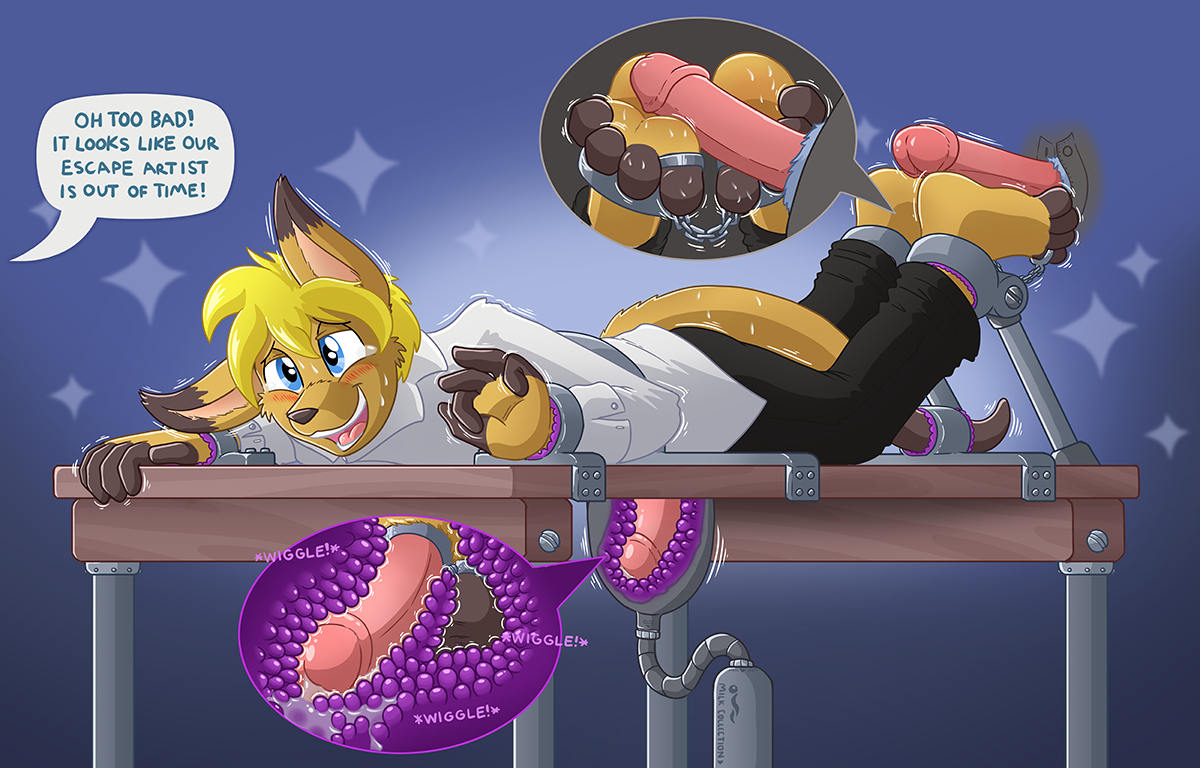 2017, anthro, blonde hair, blush, bondage, bound, caroo, caroo (character), cute, dialogue, disembodied penis, english text, feet, foot fetish, footjob, forced, hair, humanoid penis, kangaroo, male, male foot fetish, male only, mammal, marsupial, orgasm, penis, table, tears, teasing, text, tickle fetish, tickle torture, tickling