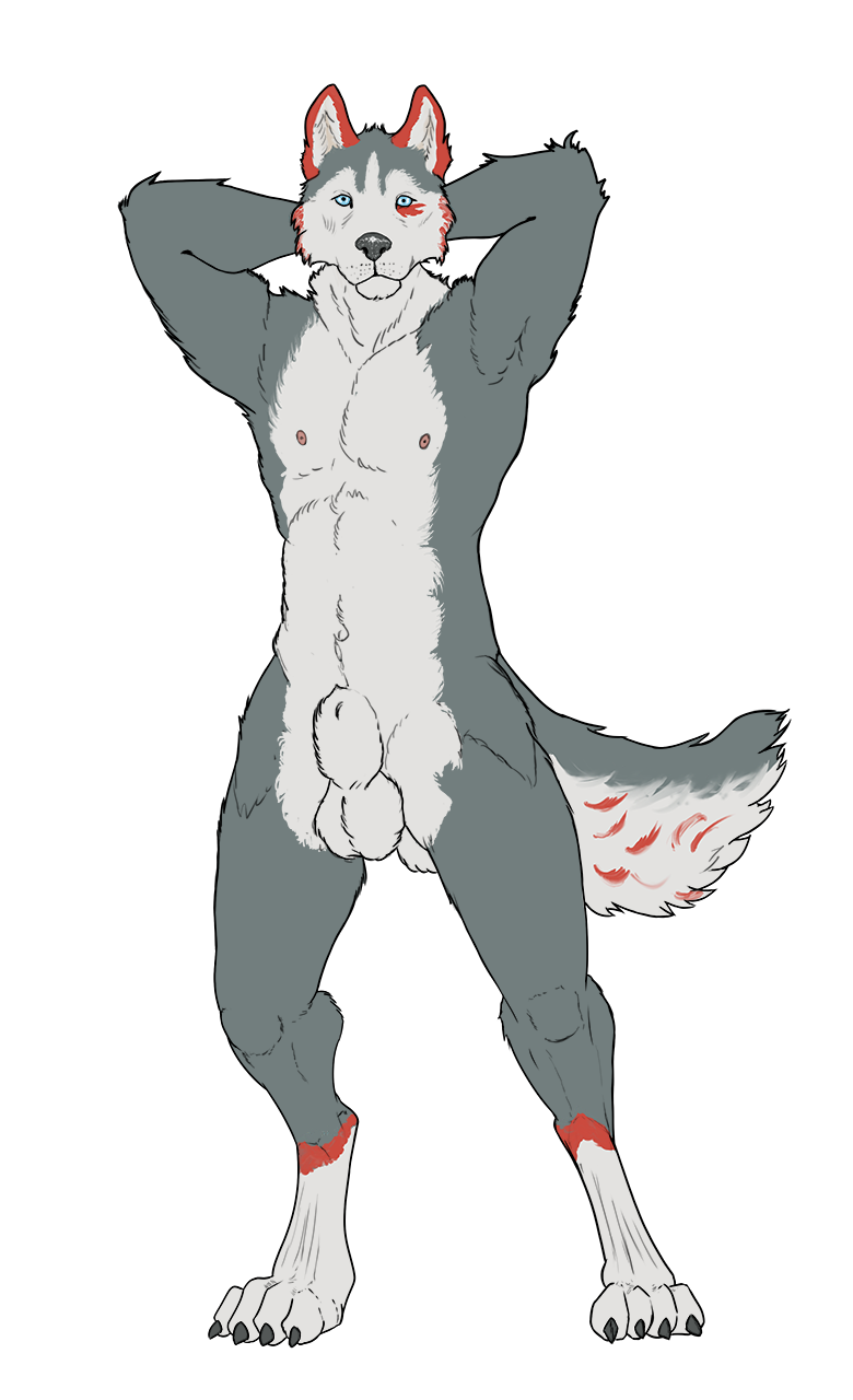 anthro asatrua balls canine husky invalid_tag male male_only mammal nude