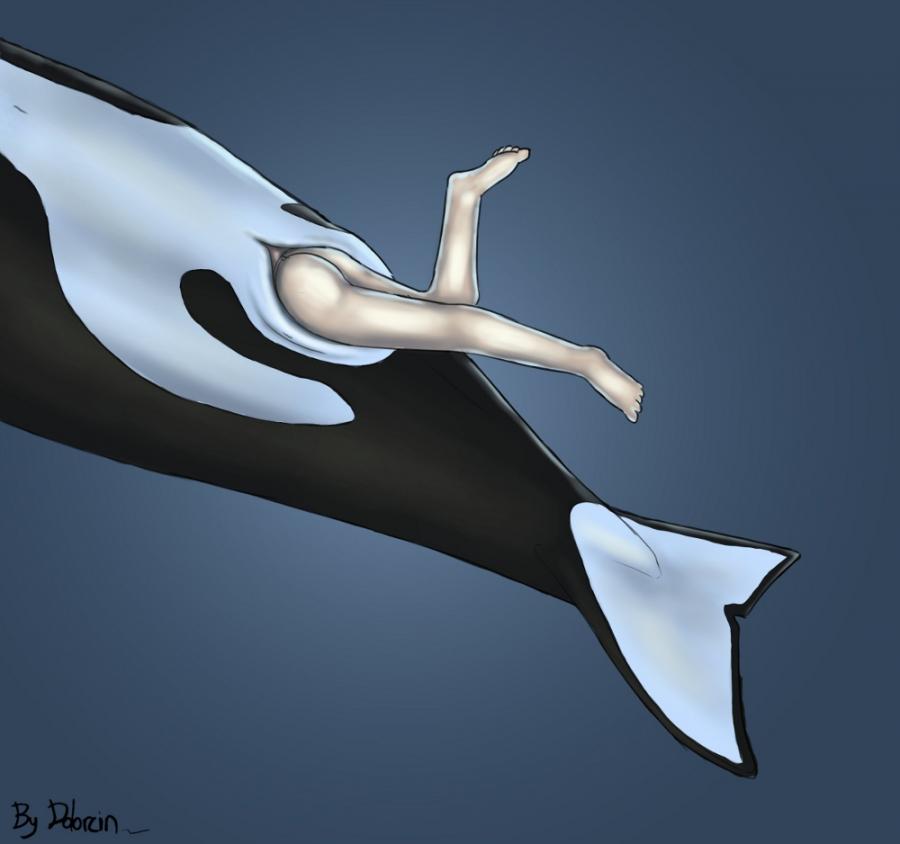 2012 cetacean collaboration dolorcin dolphin female feral feral_unbirthing_human human inside mammal marine nude orca pussy sirorca unbirthing vore whale what