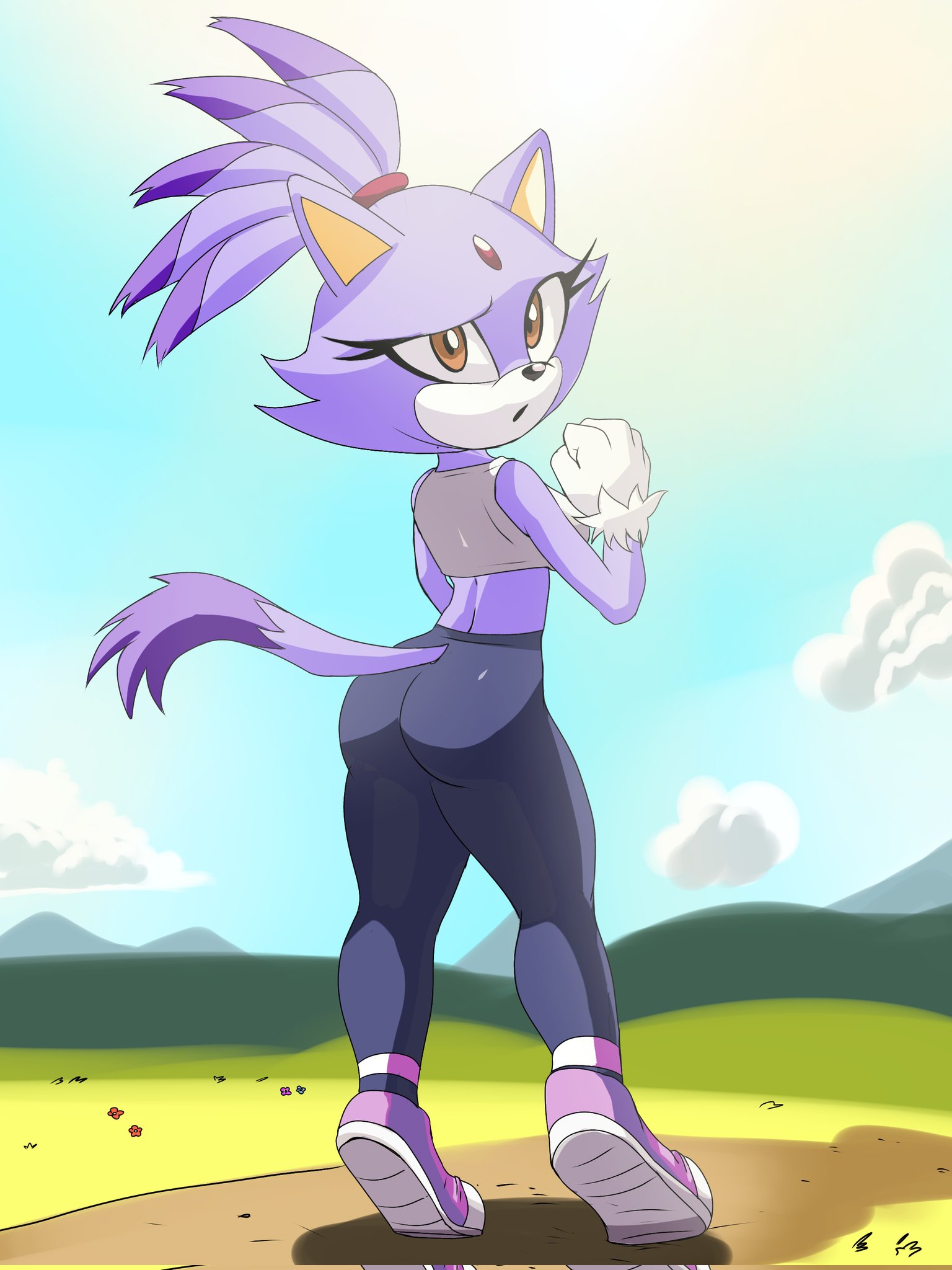 blaze the cat, bubble butt, gym clothes, leggings, looking back, sonic (series), soranygy, sports bra