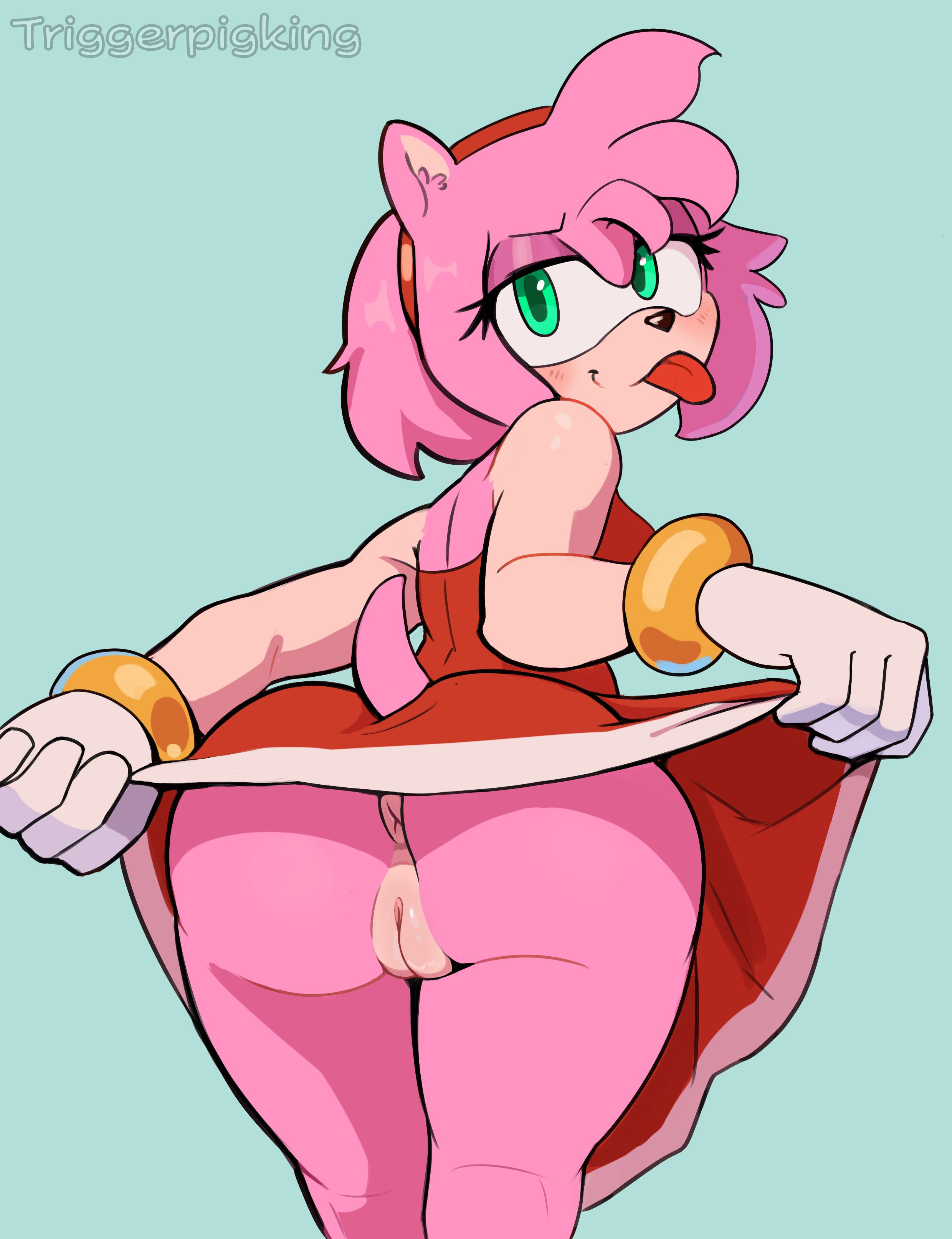 amy rose, anus, ass, dress, dress lift, flashing, flashing pussy, no panties, pussy, sonic (series), sonic the hedgehog (series), tongue out, triggerpigart, triggerpigking
